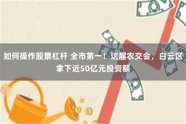 如何操作股票杠杆 全市第一！这届农交会，白云区拿下近50亿元投资额