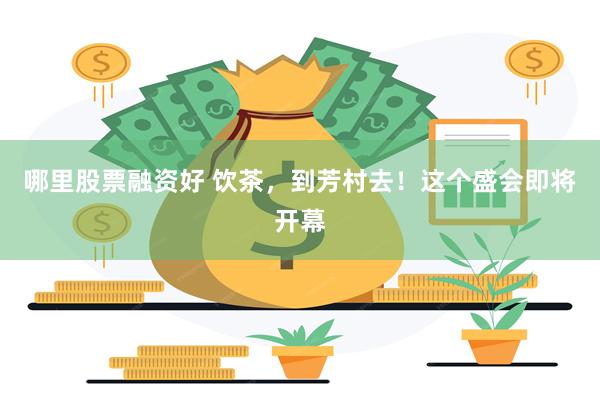 哪里股票融资好 饮茶，到芳村去！这个盛会即将开幕