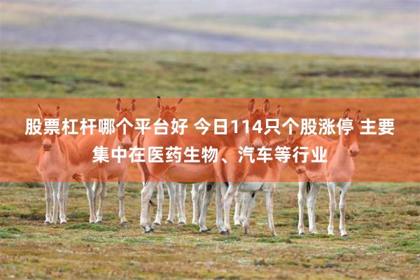 股票杠杆哪个平台好 今日114只个股涨停 主要集中在医药生物、汽车等行业