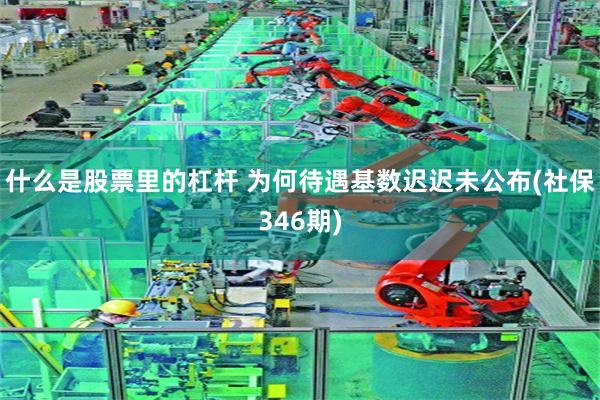 什么是股票里的杠杆 为何待遇基数迟迟未公布(社保346期)