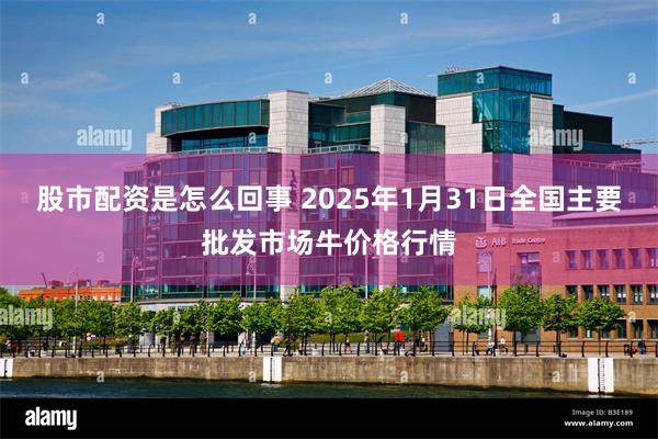 股市配资是怎么回事 2025年1月31日全国主要批发市场牛价格行情