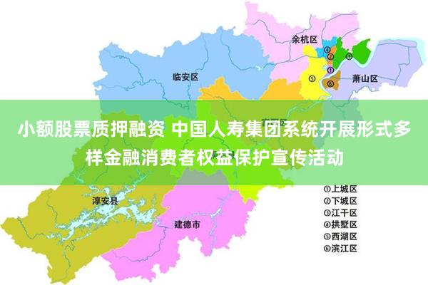 小额股票质押融资 中国人寿集团系统开展形式多样金融消费者权益保护宣传活动