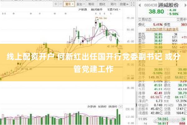 线上配资开户 何新红出任国开行党委副书记 或分管党建工作