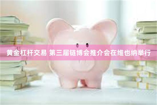 黄金杠杆交易 第三届链博会推介会在维也纳举行