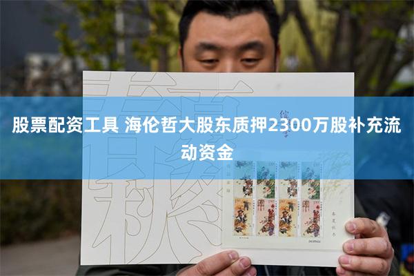 股票配资工具 海伦哲大股东质押2300万股补充流动资金