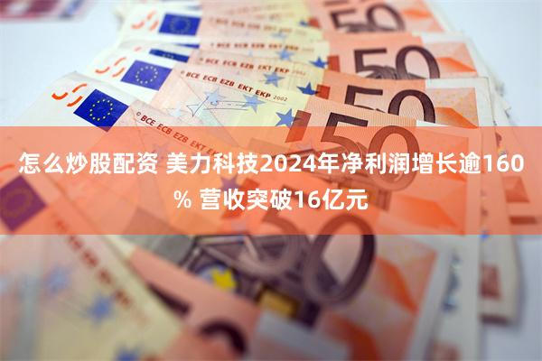 怎么炒股配资 美力科技2024年净利润增长逾160% 营收突破16亿元