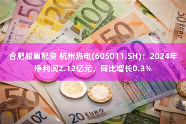 合肥股票配资 杭州热电(605011.SH)：2024年净利润2.12亿元，同比增长0.3%