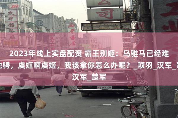 2023年线上实盘配资 霸王别姬：乌骓马已经难以驰骋，虞姬啊虞姬，我该拿你怎么办呢？_项羽_汉军_楚军