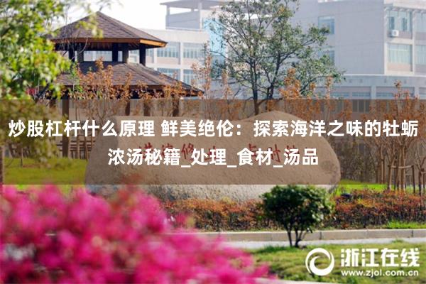 炒股杠杆什么原理 鲜美绝伦：探索海洋之味的牡蛎浓汤秘籍_处理_食材_汤品