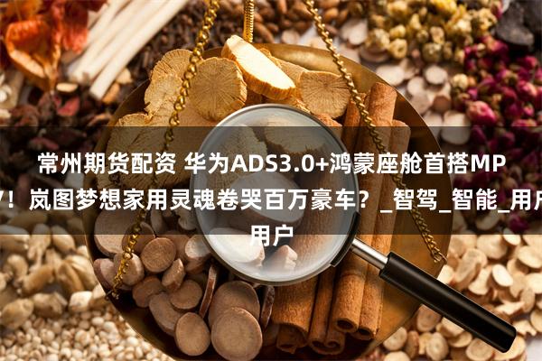 常州期货配资 华为ADS3.0+鸿蒙座舱首搭MPV！岚图梦想家用灵魂卷哭百万豪车？_智驾_智能_用户