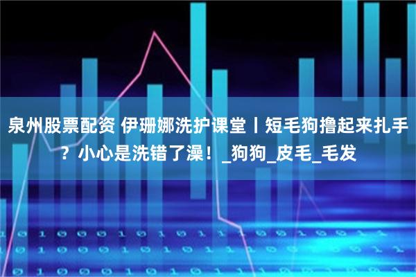 泉州股票配资 伊珊娜洗护课堂丨短毛狗撸起来扎手？小心是洗错了澡！_狗狗_皮毛_毛发