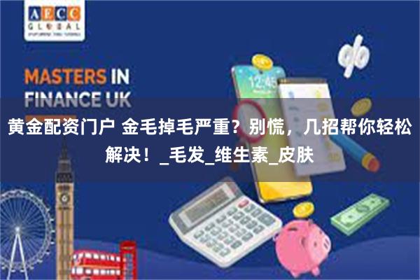 黄金配资门户 金毛掉毛严重？别慌，几招帮你轻松解决！_毛发_维生素_皮肤