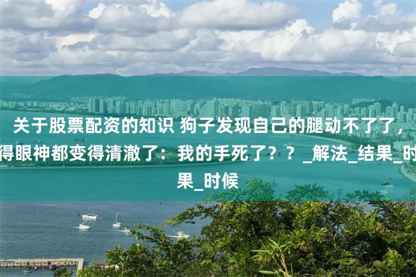 关于股票配资的知识 狗子发现自己的腿动不了了，吓得眼神都变得清澈了：我的手死了？？_解法_结果_时候