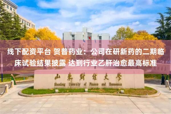 线下配资平台 贺普药业：公司在研新药的二期临床试验结果披露 达到行业乙肝治愈最高标准