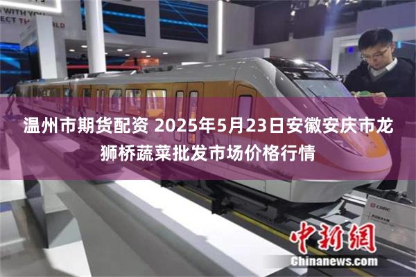 温州市期货配资 2025年5月23日安徽安庆市龙狮桥蔬菜批发市场价格行情