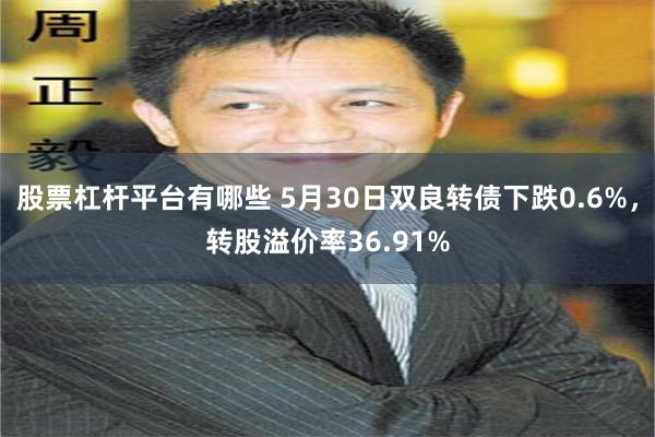 股票杠杆平台有哪些 5月30日双良转债下跌0.6%，转股溢价率36.91%
