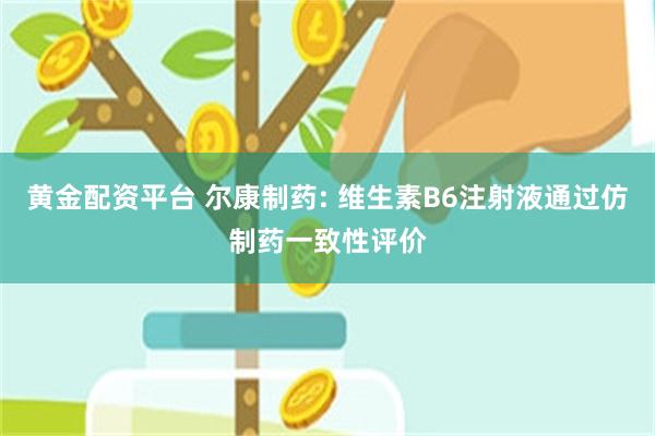黄金配资平台 尔康制药: 维生素B6注射液通过仿制药一致性评价