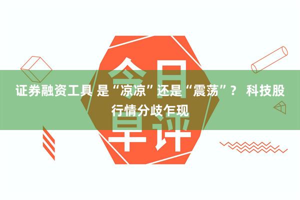 证券融资工具 是“凉凉”还是“震荡”？ 科技股行情分歧乍现