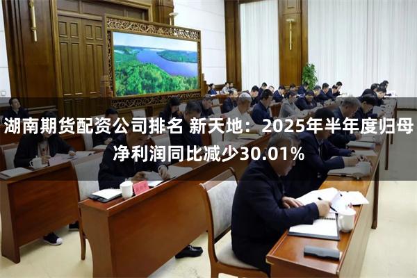 湖南期货配资公司排名 新天地：2025年半年度归母净利润同比减少30.01%