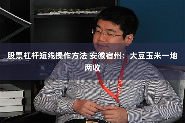 股票杠杆短线操作方法 安徽宿州：大豆玉米一地两收