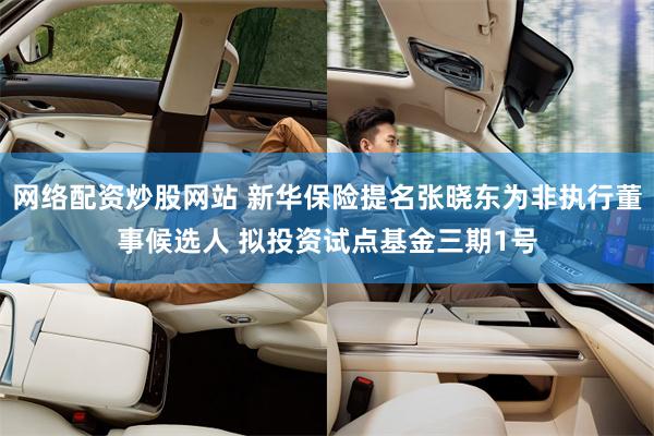 网络配资炒股网站 新华保险提名张晓东为非执行董事候选人 拟投资试点基金三期1号