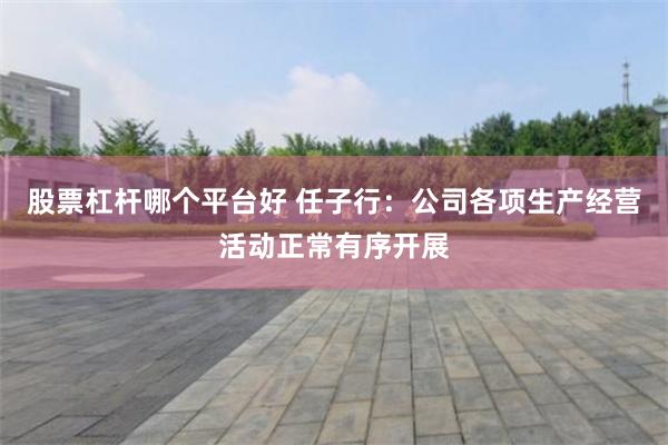 股票杠杆哪个平台好 任子行：公司各项生产经营活动正常有序开展