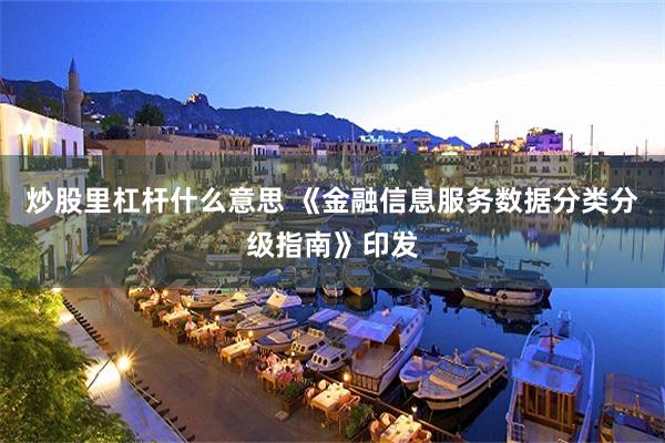 炒股里杠杆什么意思 《金融信息服务数据分类分级指南》印发
