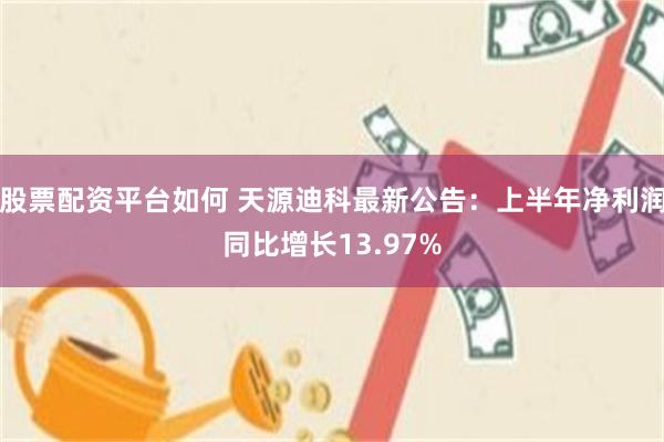 股票配资平台如何 天源迪科最新公告：上半年净利润同比增长13.97%
