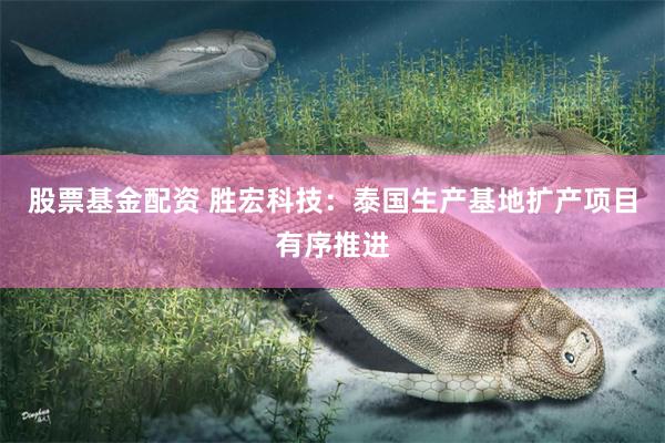 股票基金配资 胜宏科技：泰国生产基地扩产项目有序推进
