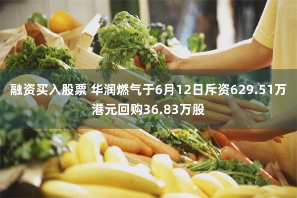 融资买入股票 华润燃气于6月12日斥资629.51万港元回购36.83万股