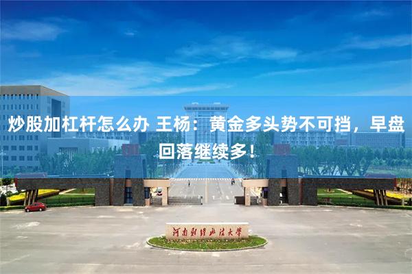 炒股加杠杆怎么办 王杨：黄金多头势不可挡，早盘回落继续多！