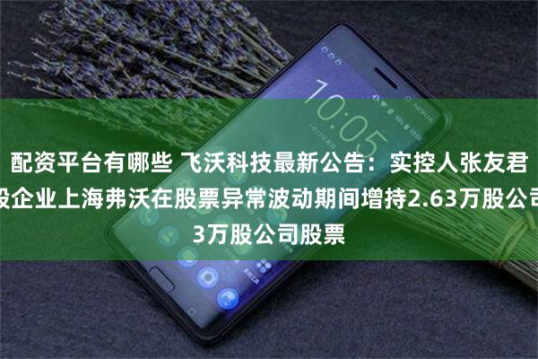 配资平台有哪些 飞沃科技最新公告：实控人张友君的控股企业上海弗沃在股票异常波动期间增持2.63万股公司股票