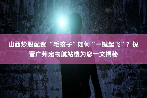 山西炒股配资 “毛孩子”如何“一键起飞”?探营广州宠物航站楼为您一文揭秘