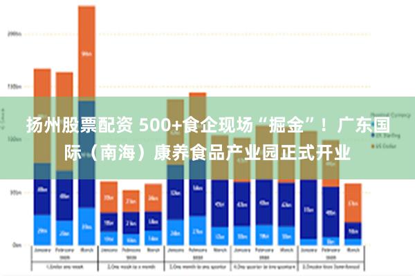 扬州股票配资 500+食企现场“掘金”！广东国际（南海）康养食品产业园正式开业