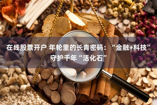 在线股票开户 年轮里的长青密码：“金融+科技”守护千年“活化石”