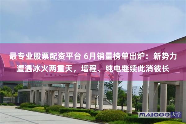 最专业股票配资平台 6月销量榜单出炉：新势力遭遇冰火两重天，增程、纯电继续此消彼长