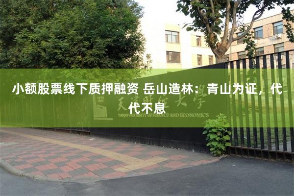 小额股票线下质押融资 岳山造林:青山为证,代代不息