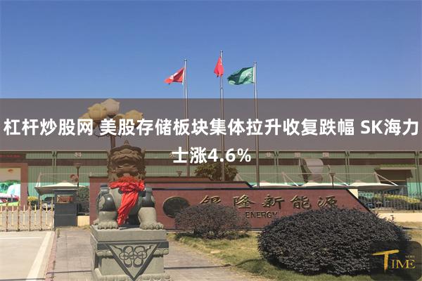 杠杆炒股网 美股存储板块集体拉升收复跌幅 SK海力士涨4.6%