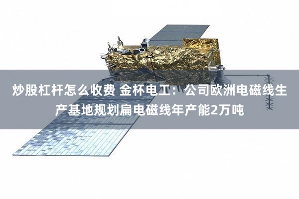炒股杠杆怎么收费 金杯电工：公司欧洲电磁线生产基地规划扁电磁线年产能2万吨