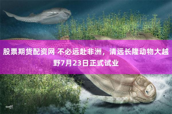 股票期货配资网 不必远赴非洲，清远长隆动物大越野7月23日正式试业
