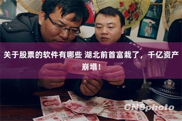 关于股票的软件有哪些 湖北前首富栽了,千亿资产崩塌!
