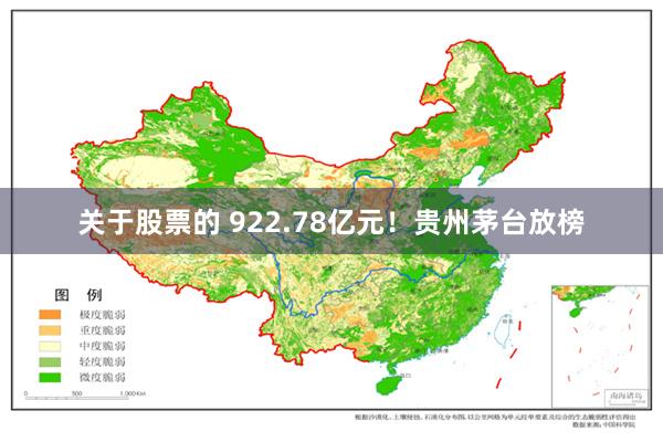 关于股票的 922.78亿元！贵州茅台放榜