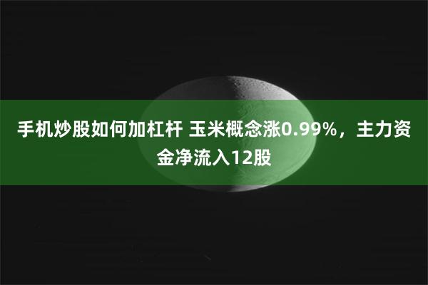 手机炒股如何加杠杆 玉米概念涨0.99%，主力资金净流入12股