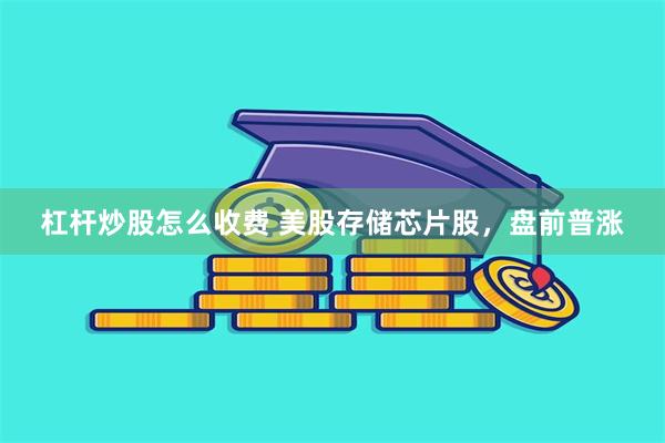 杠杆炒股怎么收费 美股存储芯片股，盘前普涨