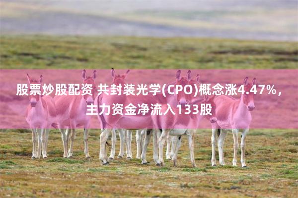 股票炒股配资 共封装光学(CPO)概念涨4.47%，主力资金净流入133股