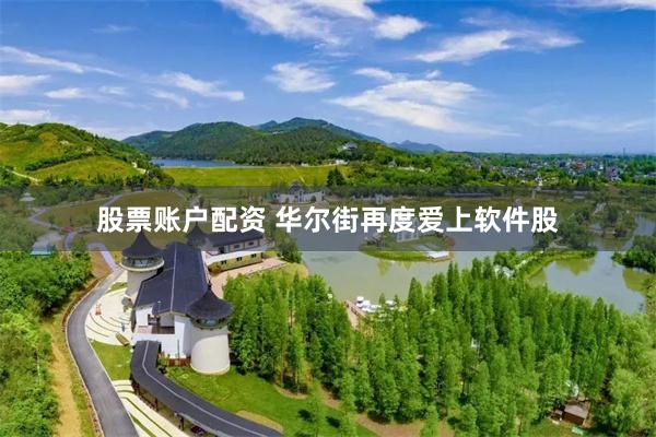 股票账户配资 华尔街再度爱上软件股