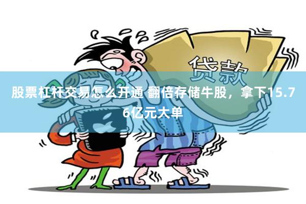 股票杠杆交易怎么开通 翻倍存储牛股，拿下15.76亿元大单