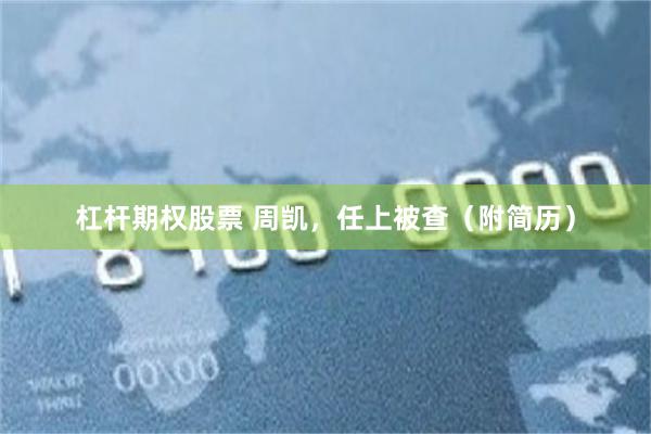 杠杆期权股票 周凯，任上被查（附简历）