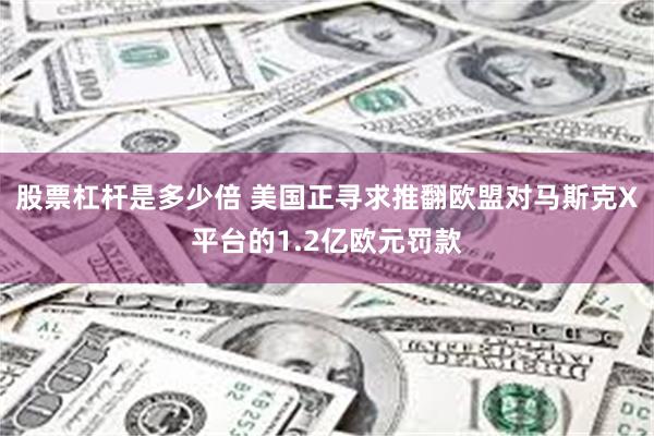 股票杠杆是多少倍 美国正寻求推翻欧盟对马斯克X平台的1.2亿欧元罚款