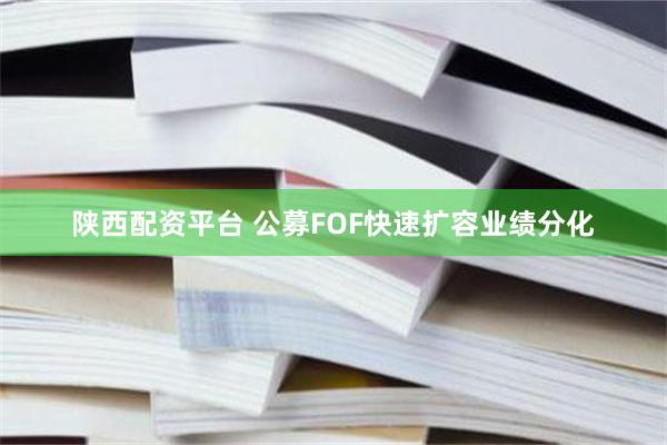 陕西配资平台 公募FOF快速扩容业绩分化